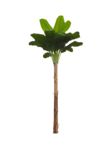 Namaak Bananenboom Middelgroot 340cm