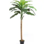 Nep Banaanboom Bogota 185cm