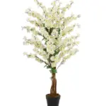 Wit Kersen Bloesemboompje 120cm