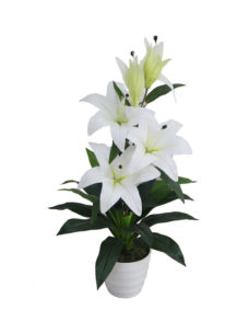 Witte Kunst Lelie Plant 75cm