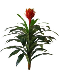 Tropische Kunst Bromelia Steker 100cm