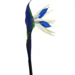 Blauwe Paradijsvogelbloem 80cm