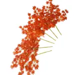 Esdoorn Neptakken Oranje-Geel set van 6 x 60cm.