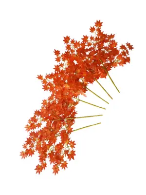 Esdoorn Neptakken Oranje-Geel set van 6 x 60cm.