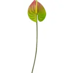 Grote Mix Color Kunst Anthurium op Steel 67cm