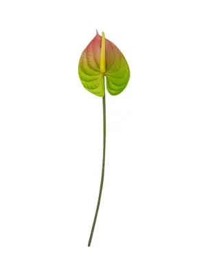 Grote Mix Color Kunst Anthurium op Steel 67cm
