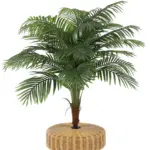 Grote Palmboomkruin 120cm