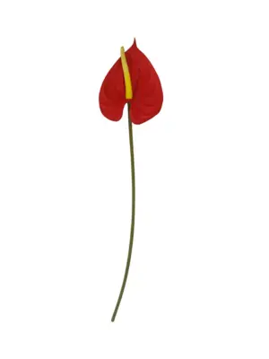 Grote Rode Kunst Anthurium op Steel 67cm
