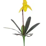 Kelk Kunst Orchidee Geel 40cm