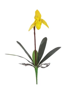 Kelk Kunst Orchidee Geel 40cm