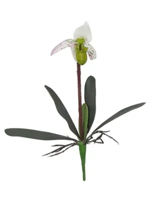 Kelk Orchidee Wit 40cm