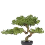 Kunst Bonsai Moyogi 40cm