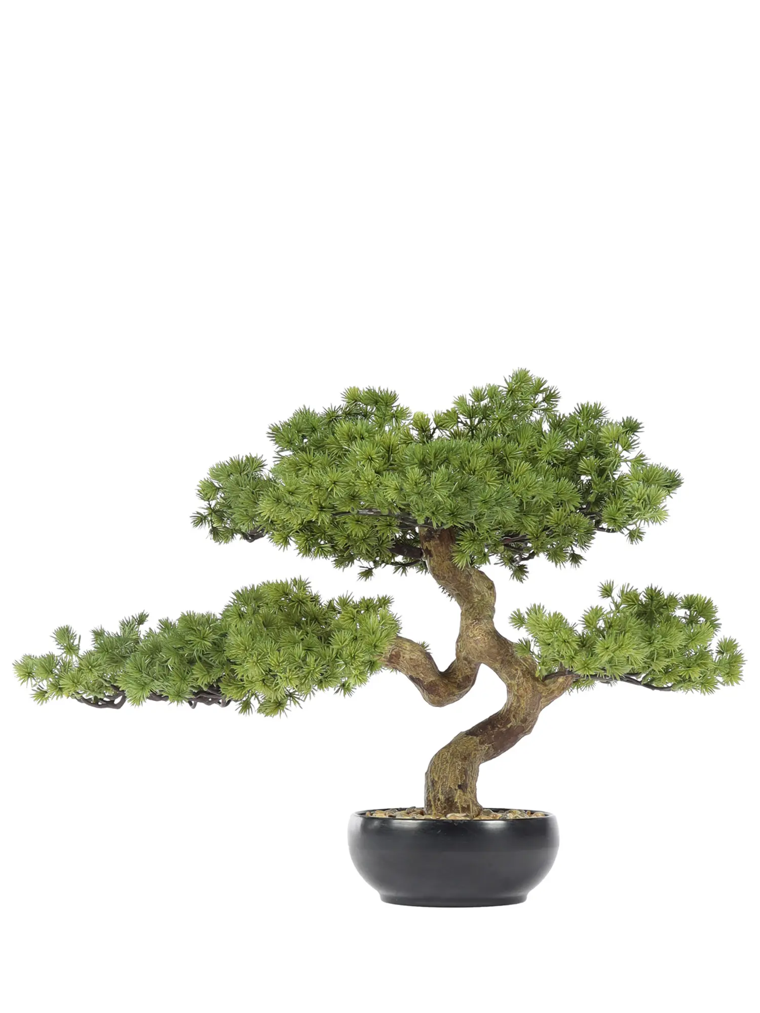 Kunst Bonsai Moyogi 40cm