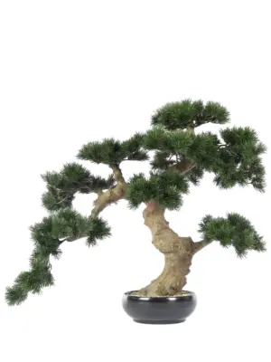 Kunst Bonsaiboom Sharimiki 60cm