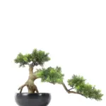 Kunst Bonsaiboom Sokan 28cm
