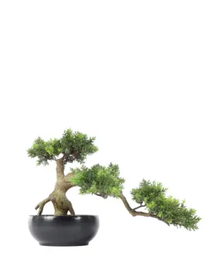 Kunst Bonsaiboom Sokan 28cm
