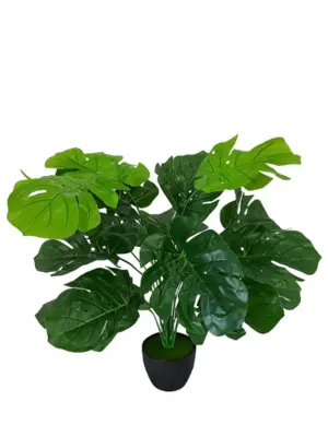 Kunst Gatenplant Met Zwarte Pot 50cm