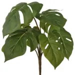 Kunst Gatenplant Zonder Pot