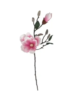 Kunst Magnoliatak 70cm