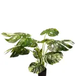 Kunst Monstera Variegata 80cm