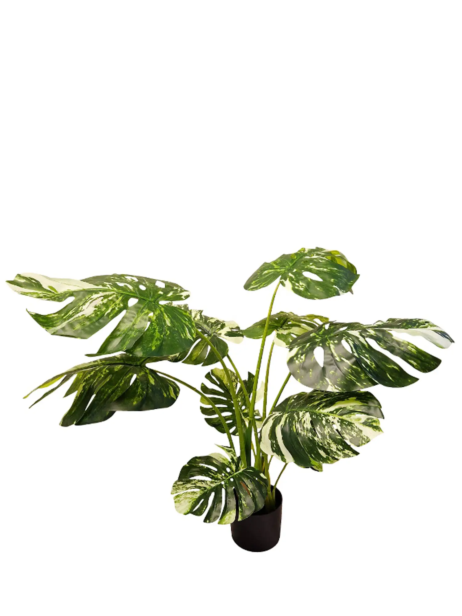 Kunst Monstera Variegata 80cm - Kunstpalm.nl