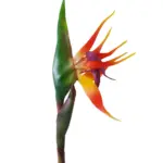 Kunst Paradijsvogelbloem 80cm