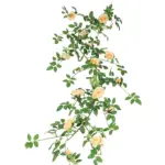 Kunst Rozenslinger Deluxe Perzik 180cm