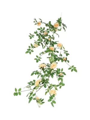 Kunst Rozenslinger Deluxe Perzik 180cm