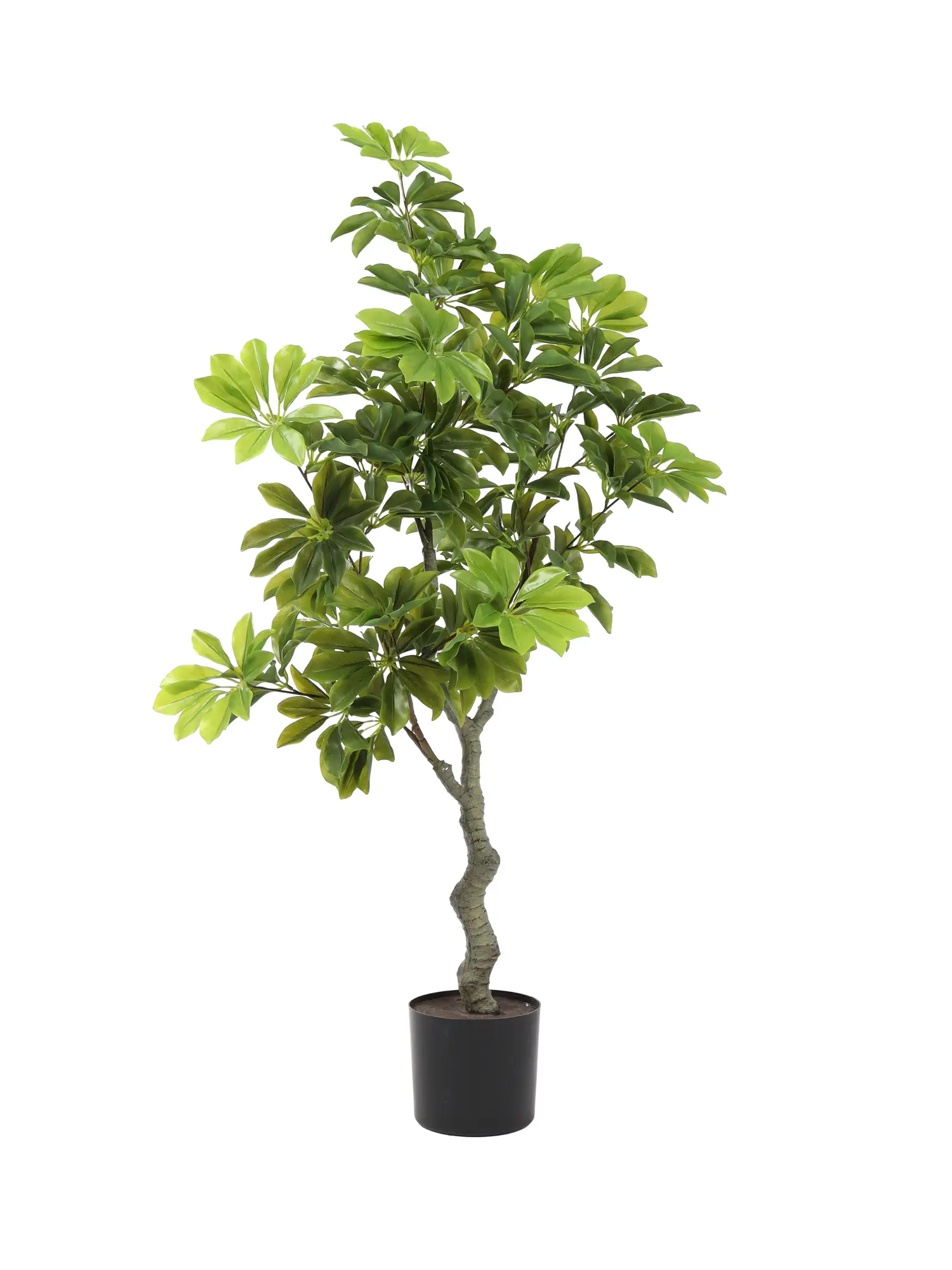Kunst Schefflera Struik 130cm
