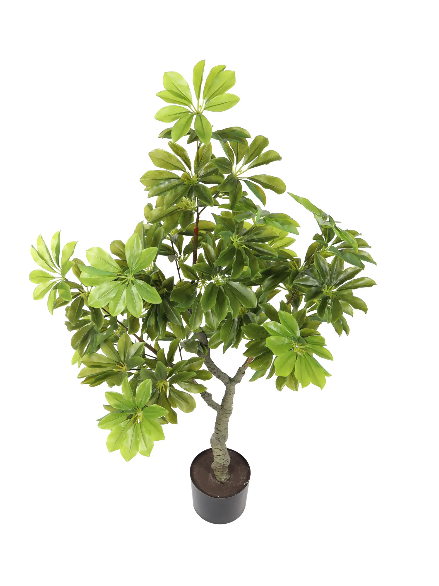 Kunst Schefflera Struik 130cm