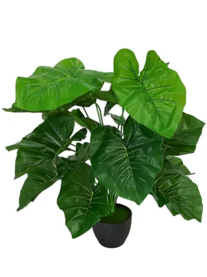Kunst Taro Plant Met Zwarte Pot 50cm