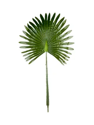 Kunst Waaierpalmblad 35cm