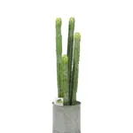 Kunstcactus Arizona 62cm