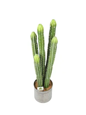 Kunstcactus Arizona 93cm