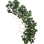 Kunstficustakken Set Mixgroen 50cm