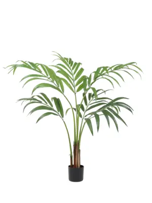 Kunstpalm Kentia 145cm