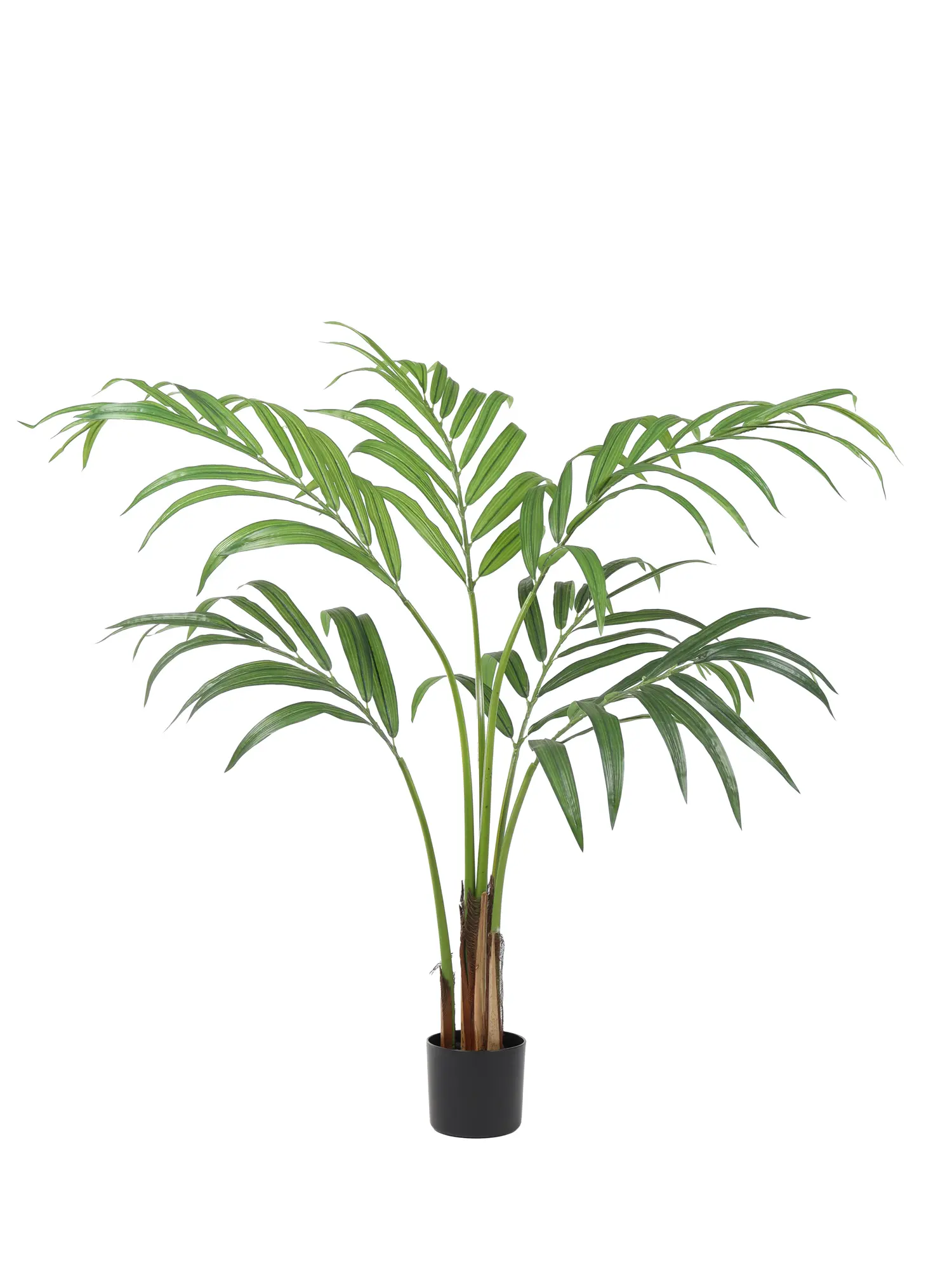 Kunstpalm Kentia 145cm