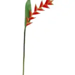 Namaak Papegaaibloem Oranje Rood