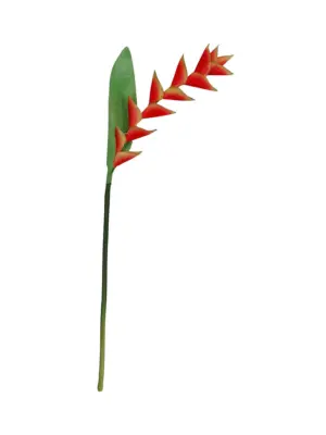 Namaak Papegaaibloem Oranje Rood