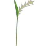 Namaak Papegaaibloem Wit 50cm