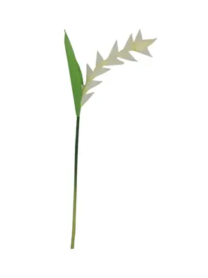 Namaak Papegaaibloem Wit 50cm