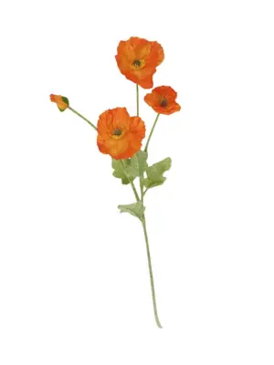 Nep Klap Roos Oranje