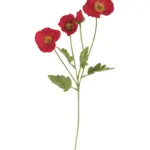 Nep Klaproos Rood 60cm