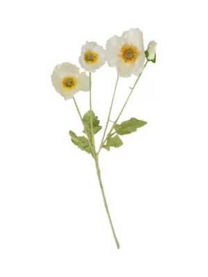 Nep Klaproos Wit 60cm