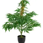 Nep Wietplant Met Top 60cm