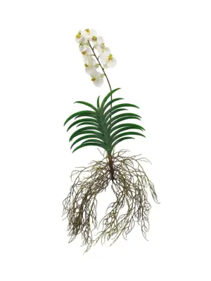 Witte Hang Kunst Orchidee 125cm