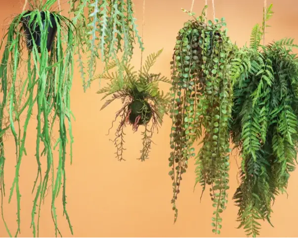 Kunst hangplanten