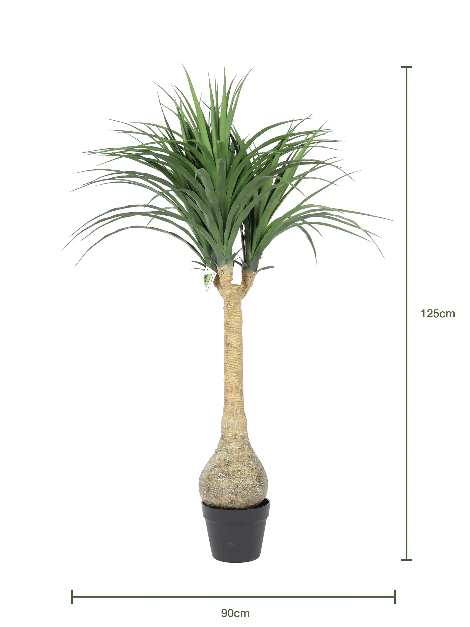 Bottle Yucca 125cm