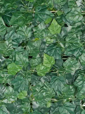Budget kunsthaag klimop 50x50 cm – betaalbare en onderhoudsvrije groene wanddecoratie