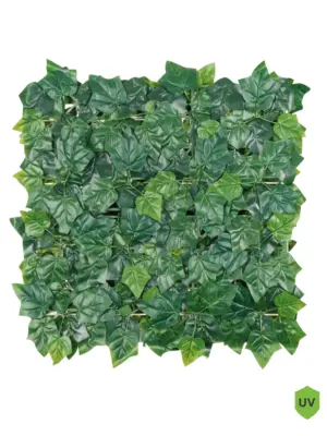 Budget kunsthaag klimop 50x50 cm – betaalbare en onderhoudsvrije groene wanddecoratie